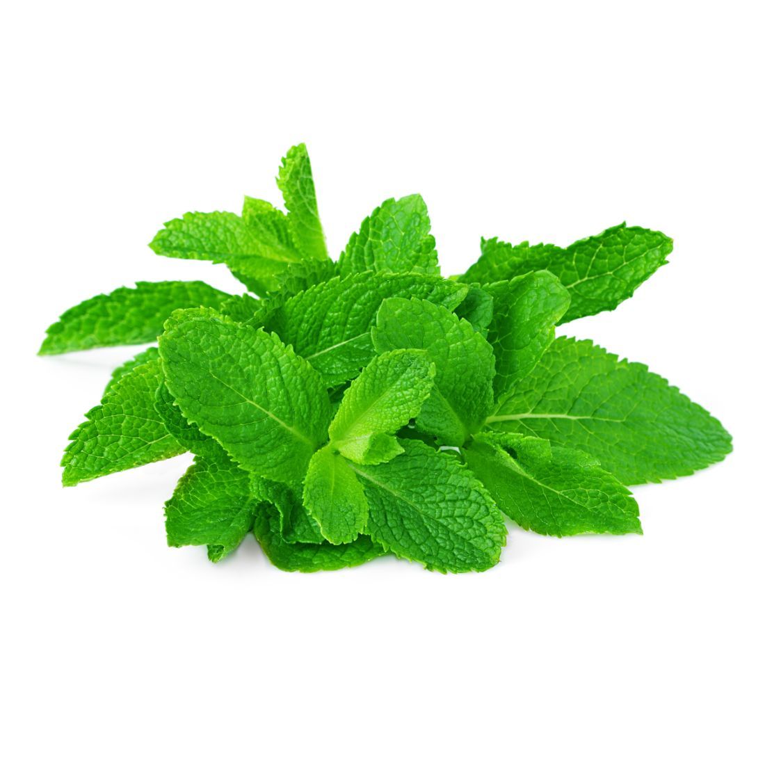 Mint Leaves Size: 250 g Oman 🇴🇲